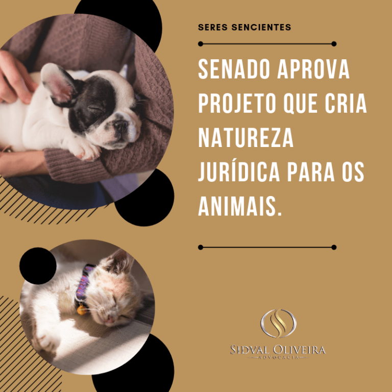 Read more about the article Senado aprova projeto que cria natureza jurídica para os animais