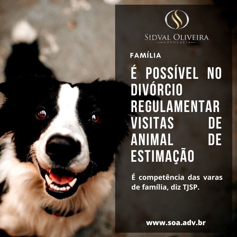 Para o TJSP é possível homologar no divorcio cláusula de regulamentação de visitas de animal de estimação