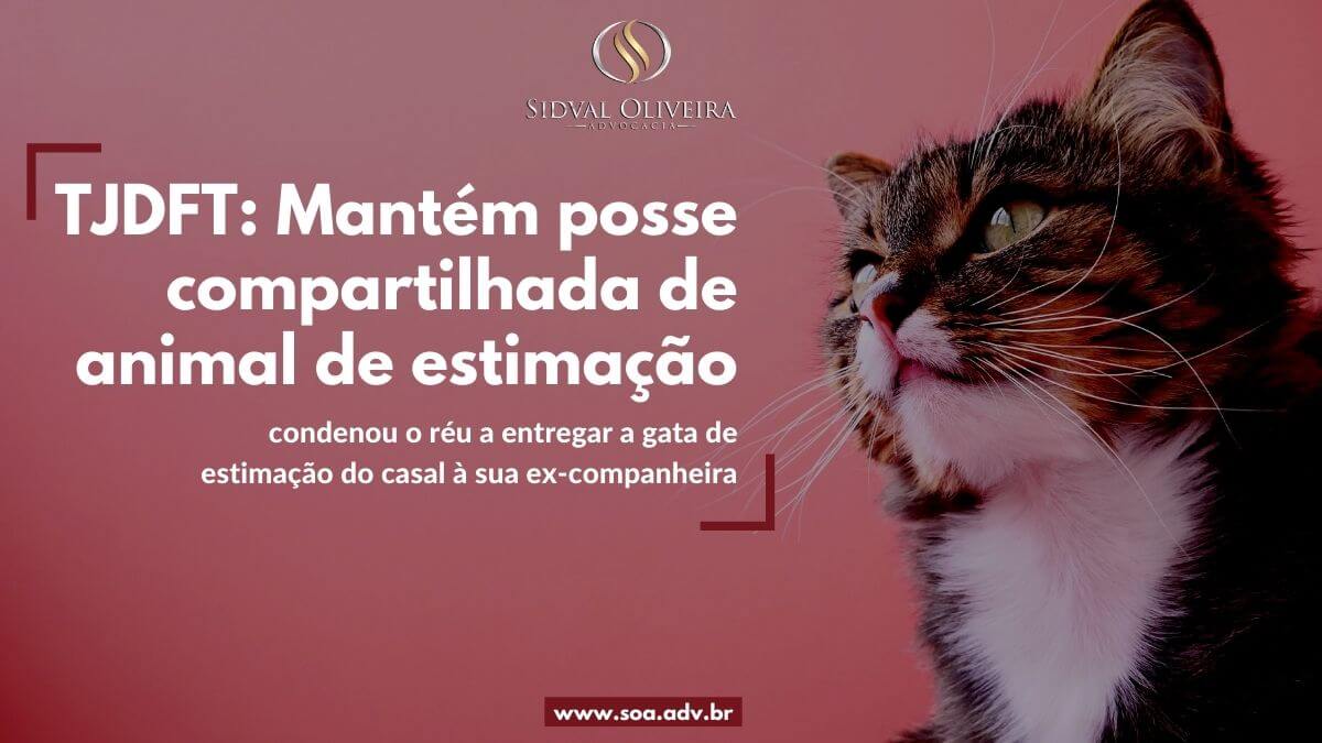 Read more about the article TJDFT: Mantém posse compartilhada de animal de estimação