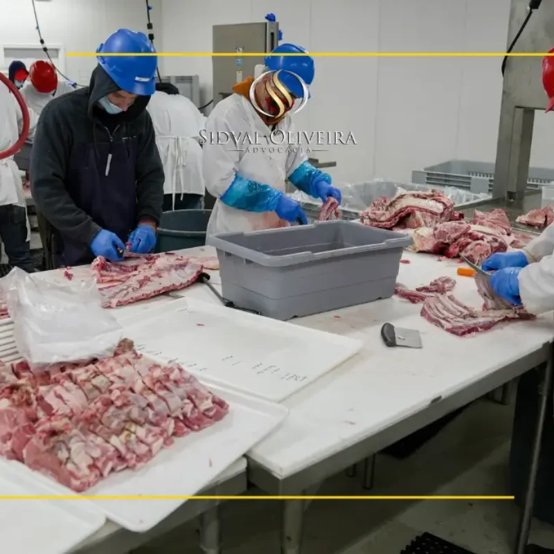 Autorização de Residência para Trabalho Técnico no Brasil sem Vínculo Empregatício