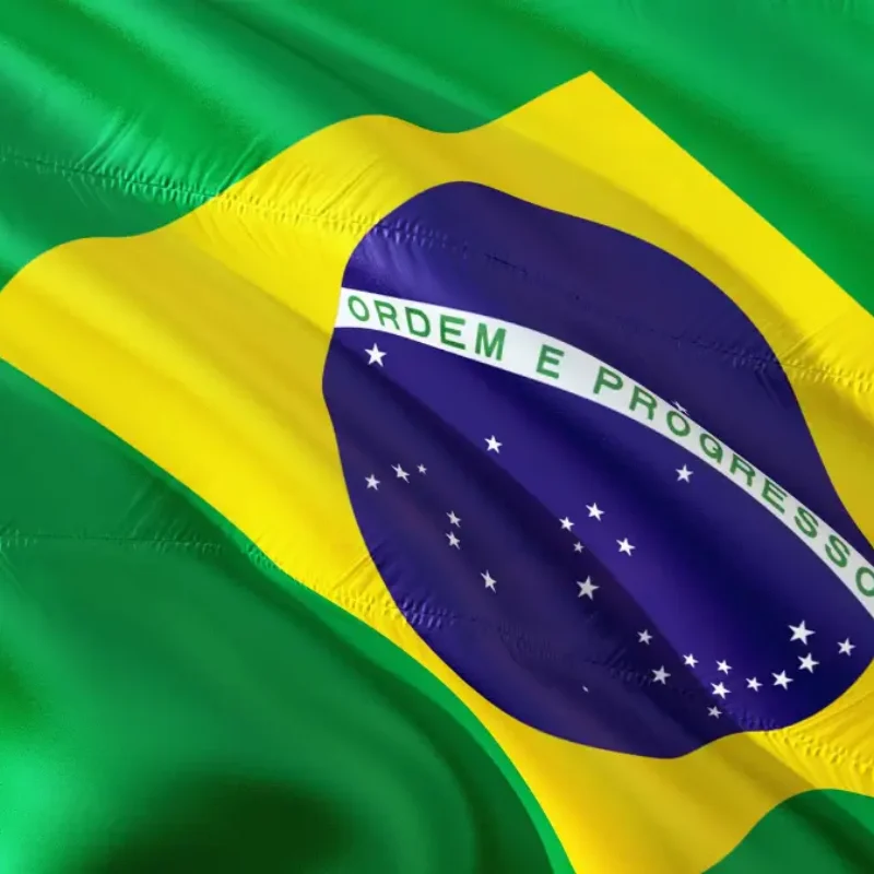 Ferramenta de Autoavaliação para Naturalização Brasileira